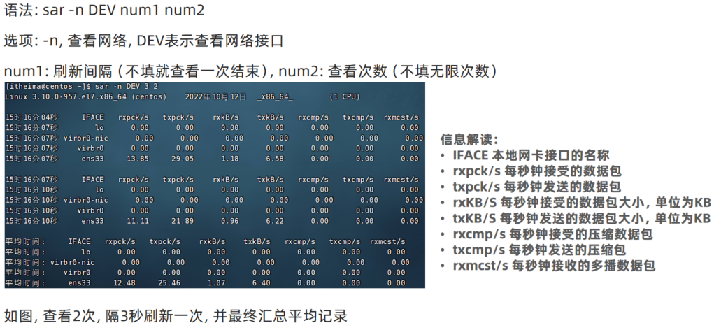 image-20250412072315919