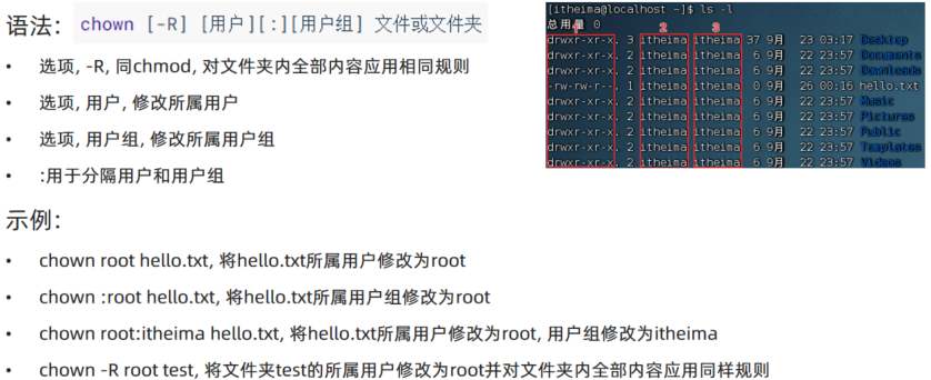 image-20250412085615973