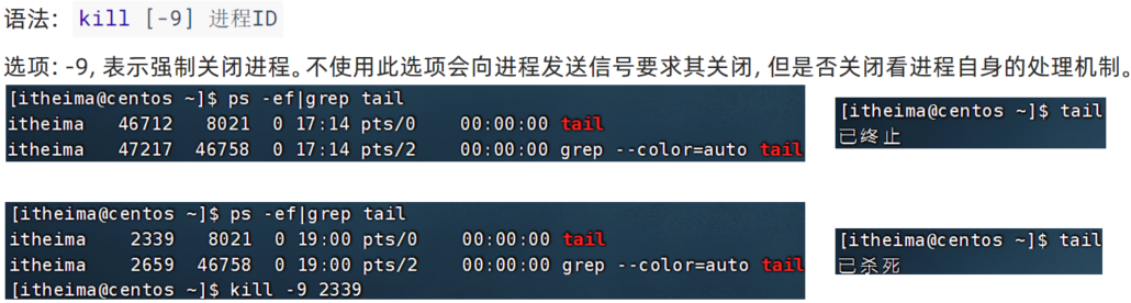 image-20250412090115965