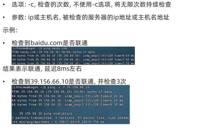 image-20250412110430920