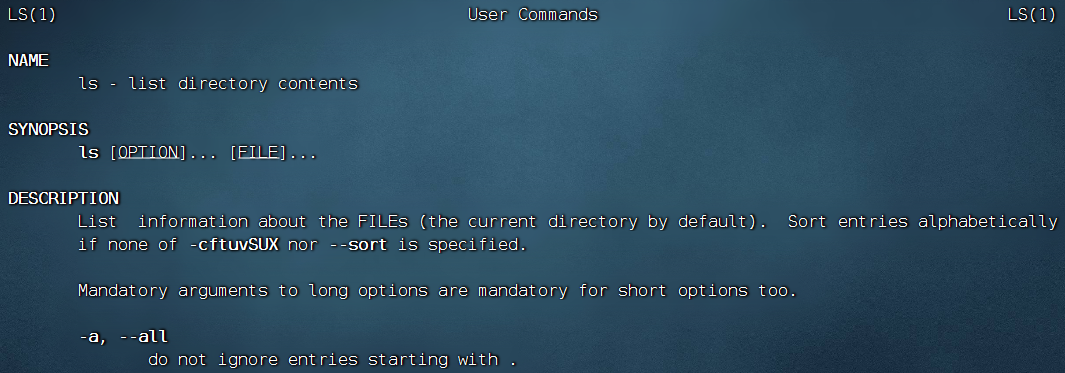 image-20250412180730966